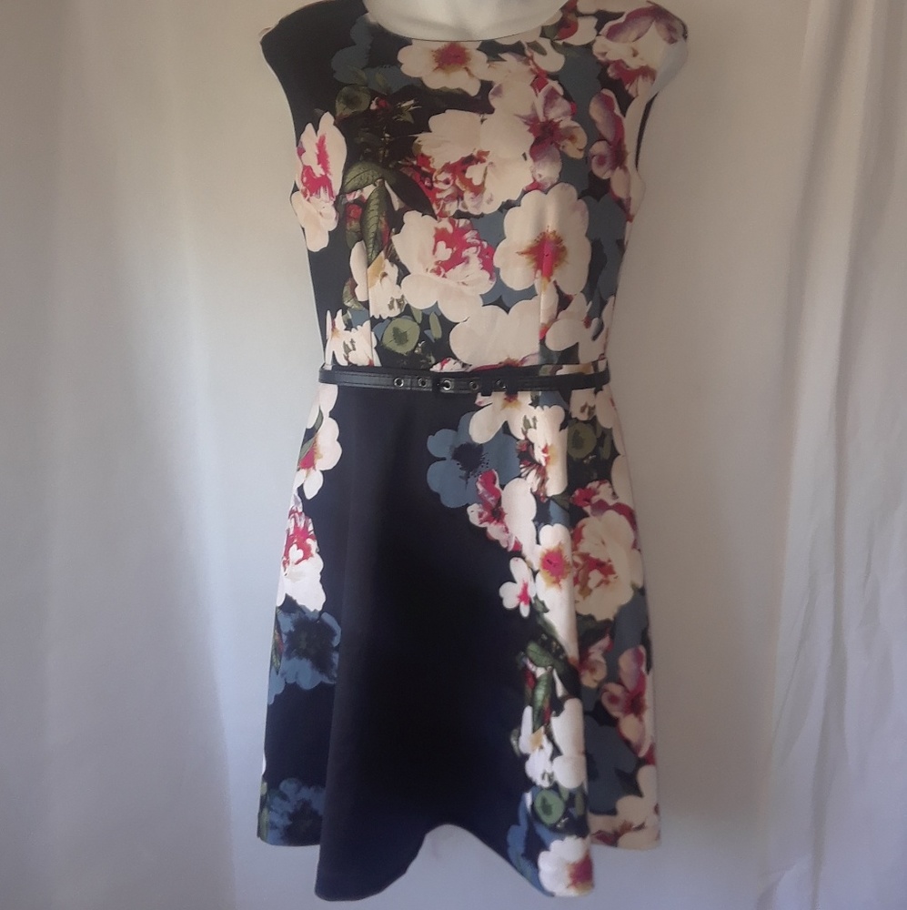 MIXT Heidi Weisel, Floral, belted Dress, Petite 6